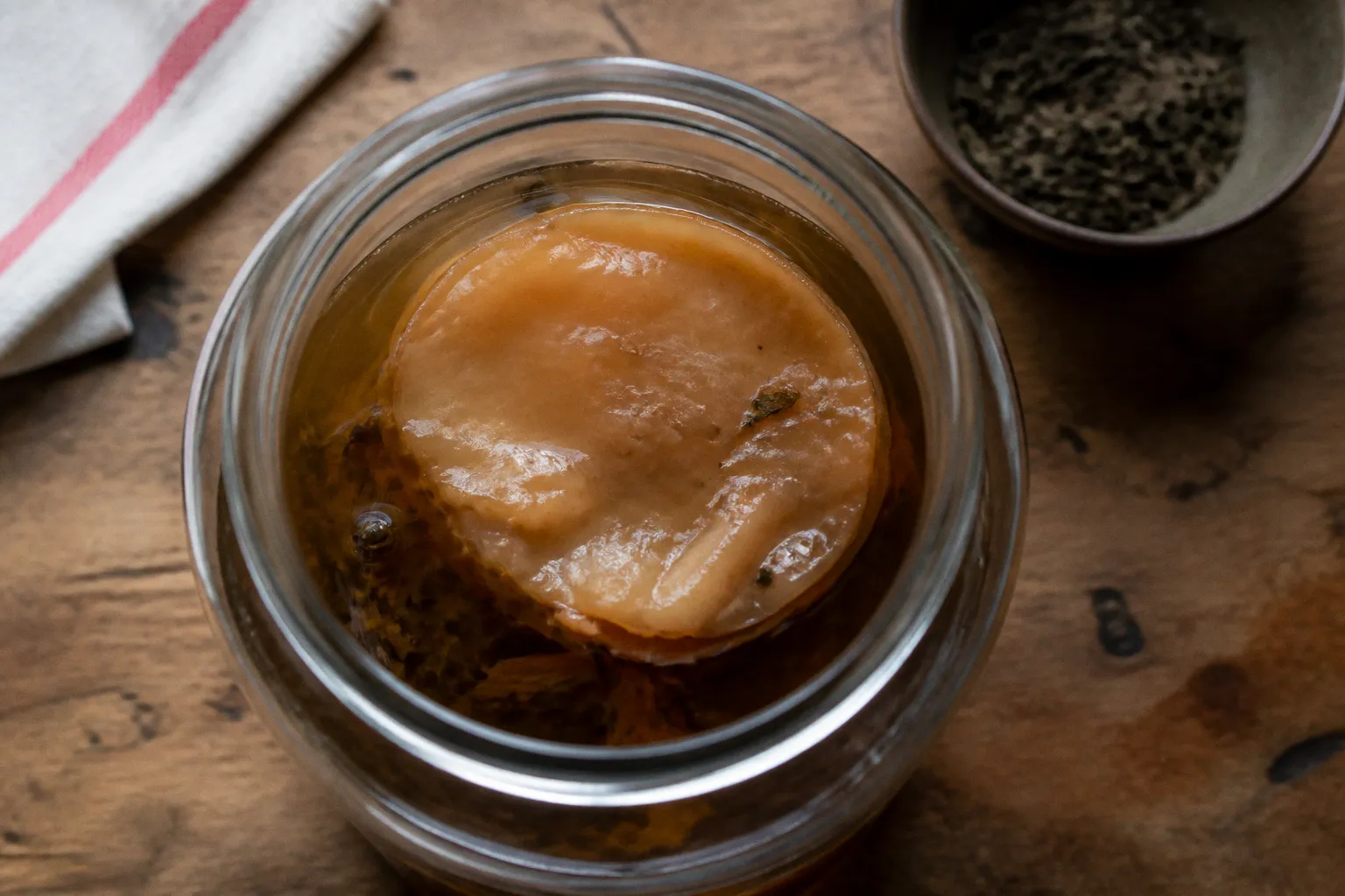 Kombucha y microbiota: la moda de los refrescos fermentados