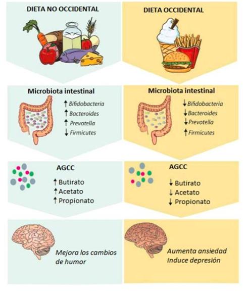 Salud y nutrición